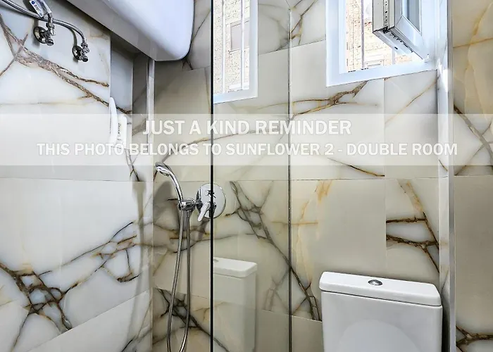 公寓 Sunflower 地拉那