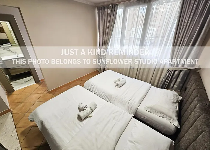 Sunflower * 地拉那