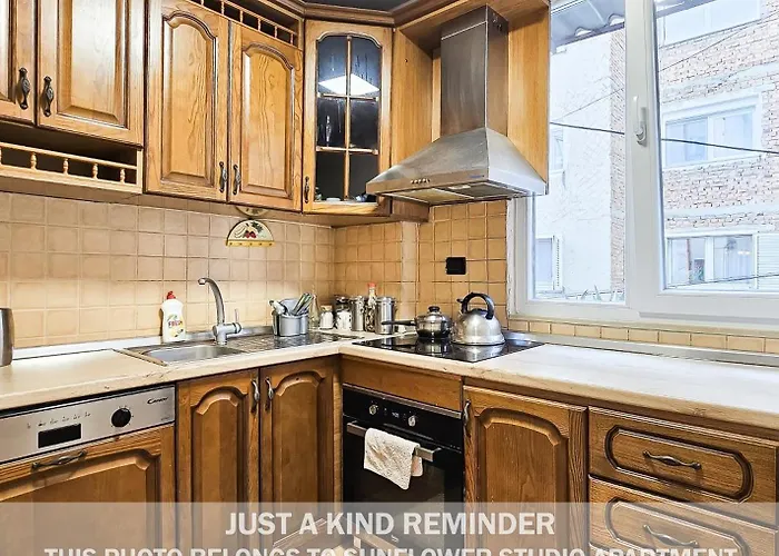 Sunflower Apartament